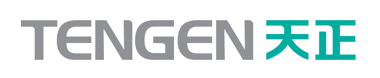 tengen electric logo